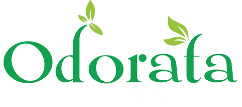 hair serum